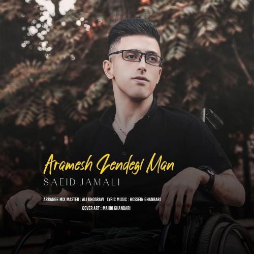 دانلود آهنگ آرامش زندگی من سعید جمالی